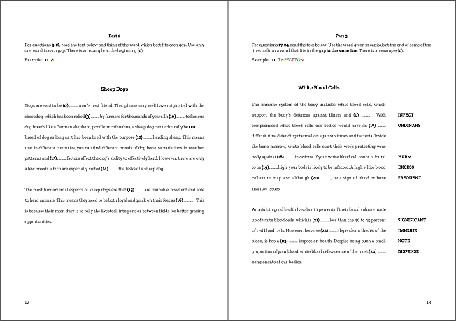 CAE Use of English pdf