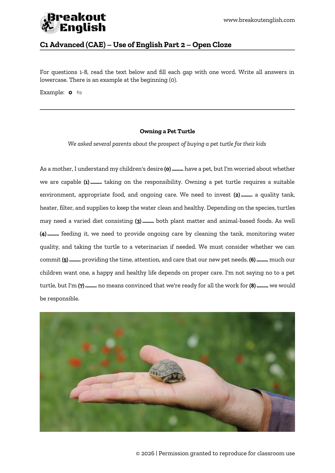 C1 Open Cloze A Pet Turtle preview 01